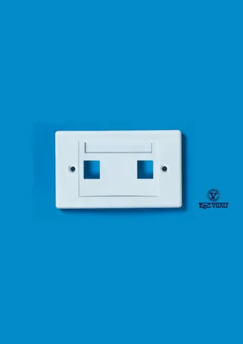 2 port 503 white wall plate