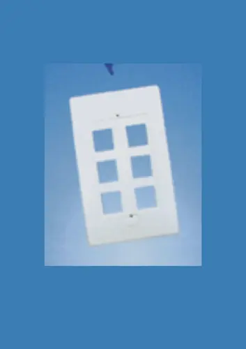 6 port 503 white wall plate