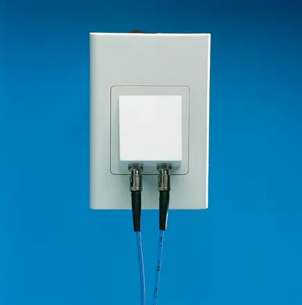 White wall plate with 2 ST/ST adaptor connector